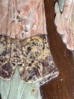 Painel com figuras esculpidas em pedra, China Séc. XX - Image 6