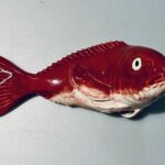 Pargo Bordalo Pinheiro